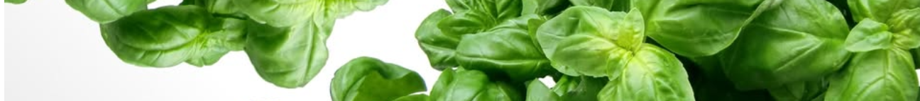 foodnourish Banner