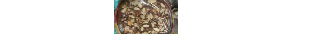 Habibi food recipe  Banner