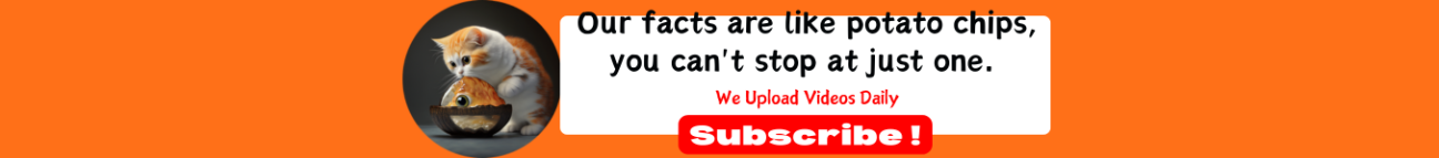 Facts By Binod Banner