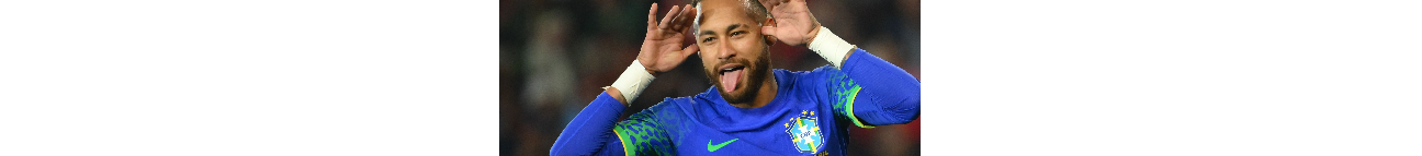 Liam the goat Banner