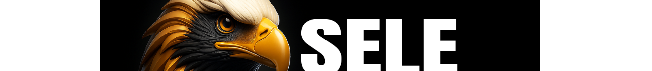Sele Media African Banner
