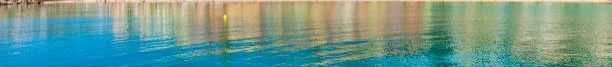 Alyssa Mitzel Banner