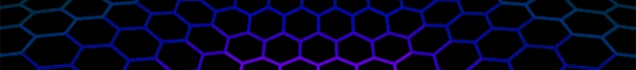 LEON Banner