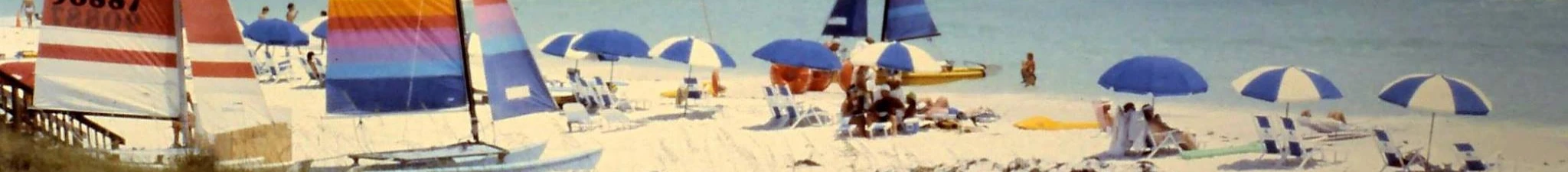 Southern Scene Banner