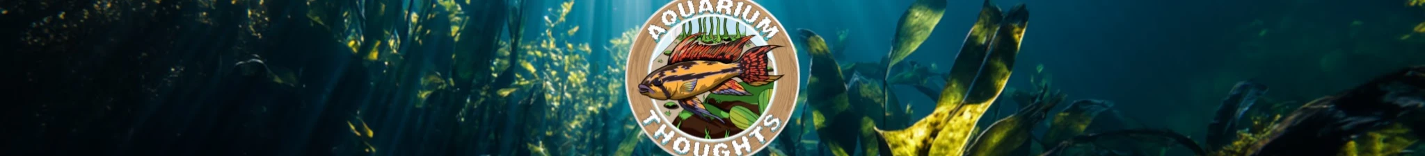 Aquarium Thoughts Banner