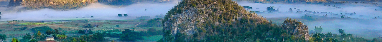 EgyEarn Banner
