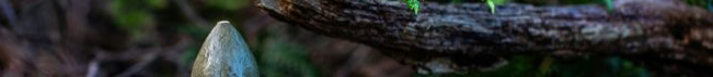 vmyrdvppvtree's Channel Banner