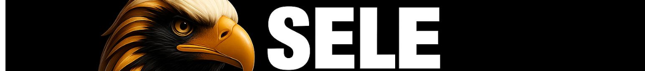 Sele Media Africa Banner