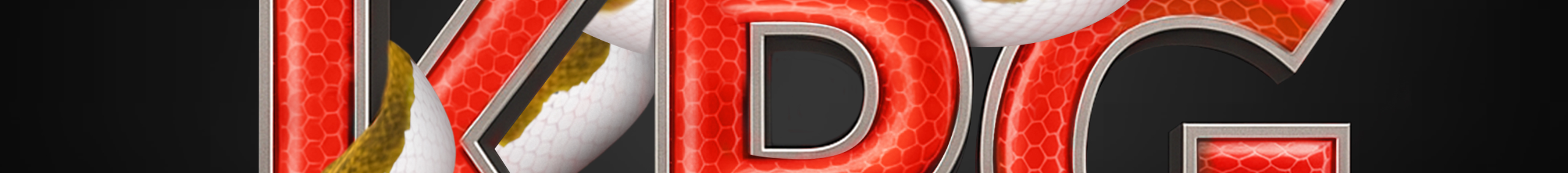 Kevin Patrick Gallagher Banner