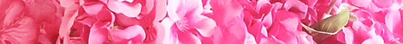 lanidoesit.com Banner