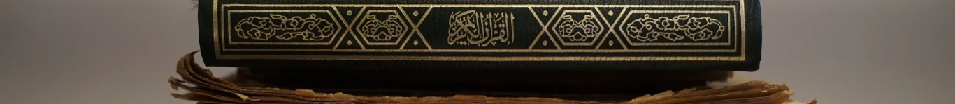 The Next Chapter Bookstore Banner