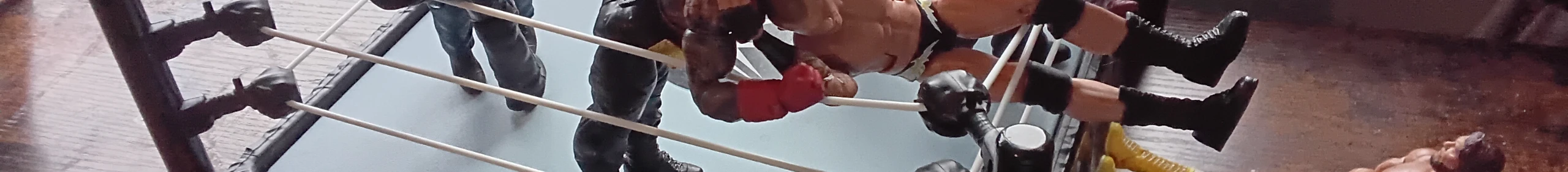 AWJ Banner