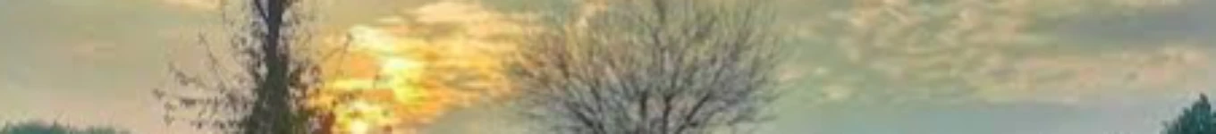 Old is Gold Hindi songs Banner