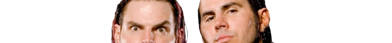 g g Logan brook Banner