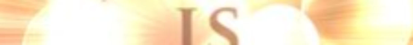 STE ART REVOLUTION Banner