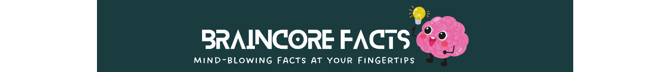 BrainCore Facts Banner