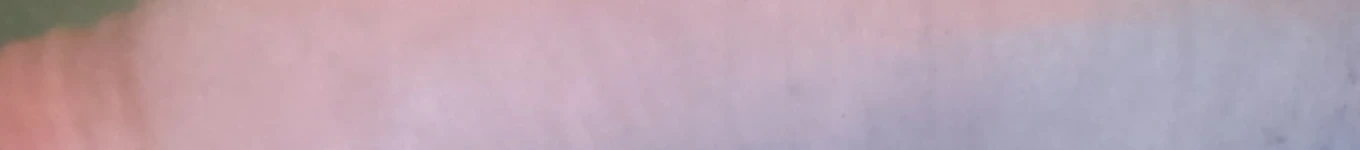 It is not my fault Banner