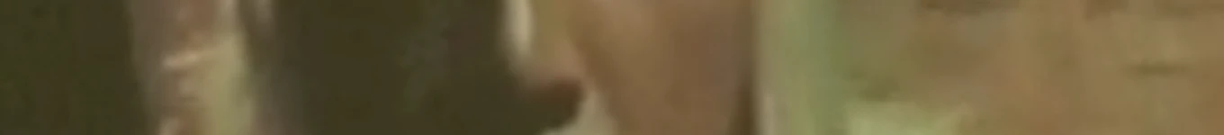 Publiknusantara Banner