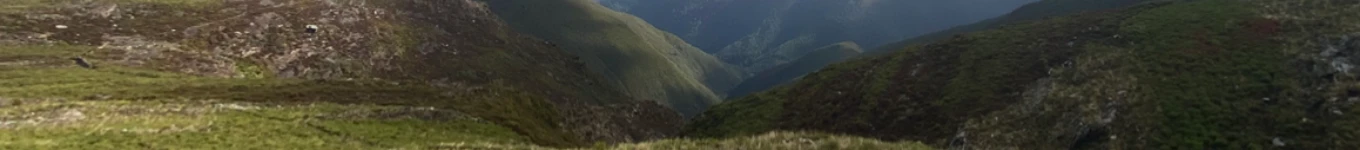 por trilhos e pensamentos Banner