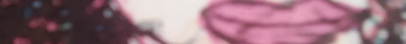 Grandma's House Banner