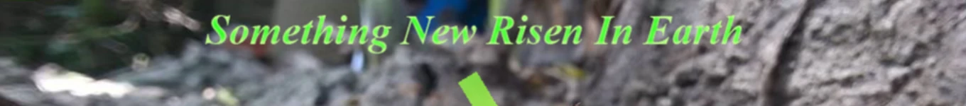 Wonder Elven GOUROB (Guardian SUN) Banner