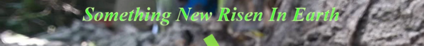 Amazing Elven GOUROB (Guardian SUN) Banner