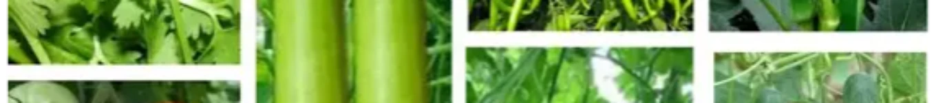 Indian Farmers Education Banner