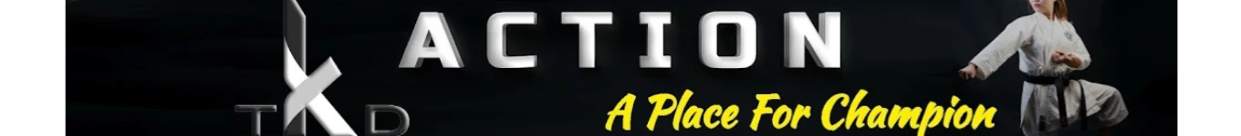 TKD Action Banner