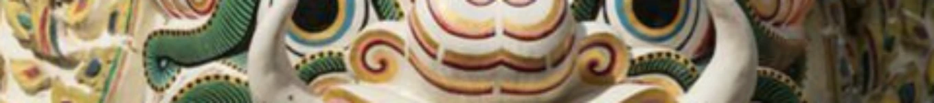 Oamini Arbuti Banner