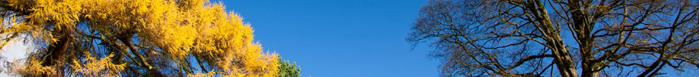 Agnish Das Banner