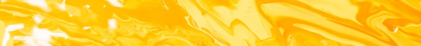 Splendidis Art Banner