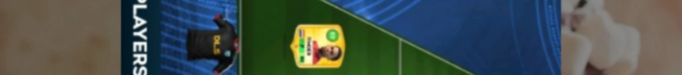 khobinah heritage Banner