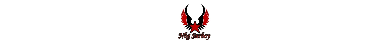N's Surboy Banner