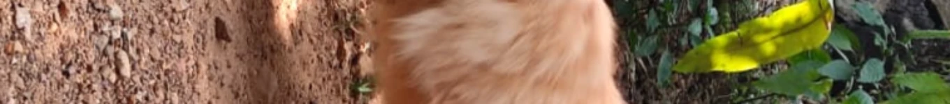 tik tok comedy videos 😂 Banner