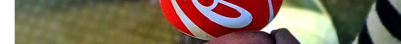 Monde Cetywayo Banner