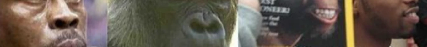 black people are apes Banner