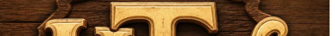 histoviva Banner