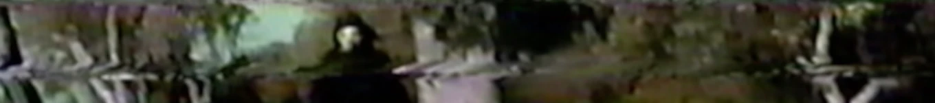 Vertical Hell Scan Banner