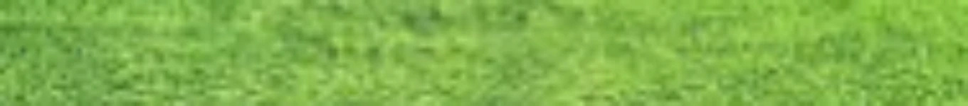 ALL VIDEOS Banner