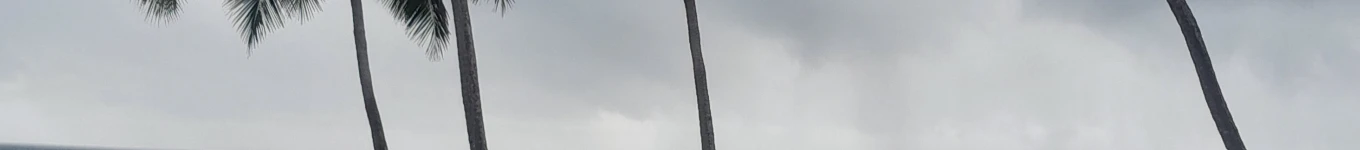 Canal Alcides Belarmino Banner
