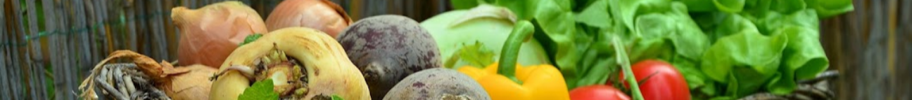 reluctantlowcarblife.com Banner