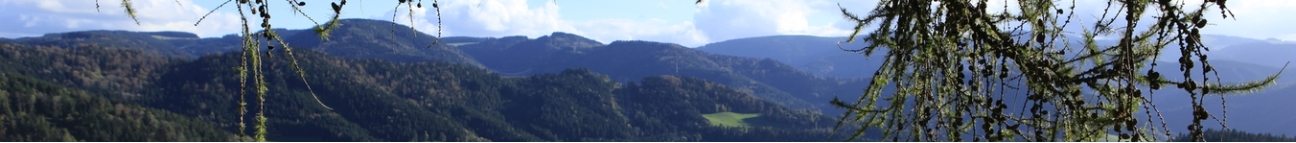 2 Wanderbare Banner