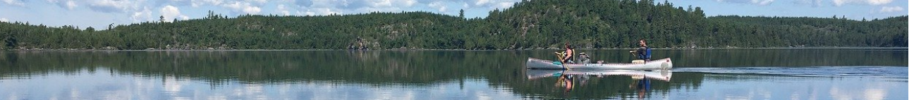 Thumbwind Video Banner