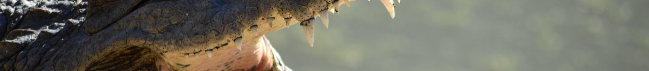 spreadhapiness.com Banner