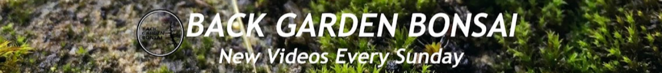 backgardenbonsai.com Banner
