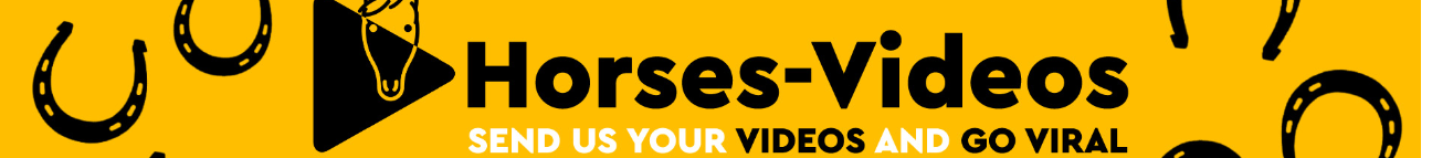 HorsesVideos Banner