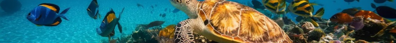 aquaplanetview Banner