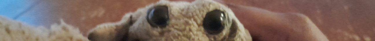 Swish Banner
