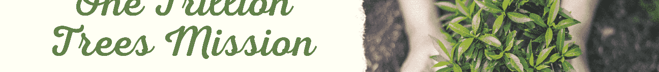 Roots And Shoots Banner