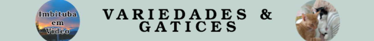 ImbitubaemVideo Banner